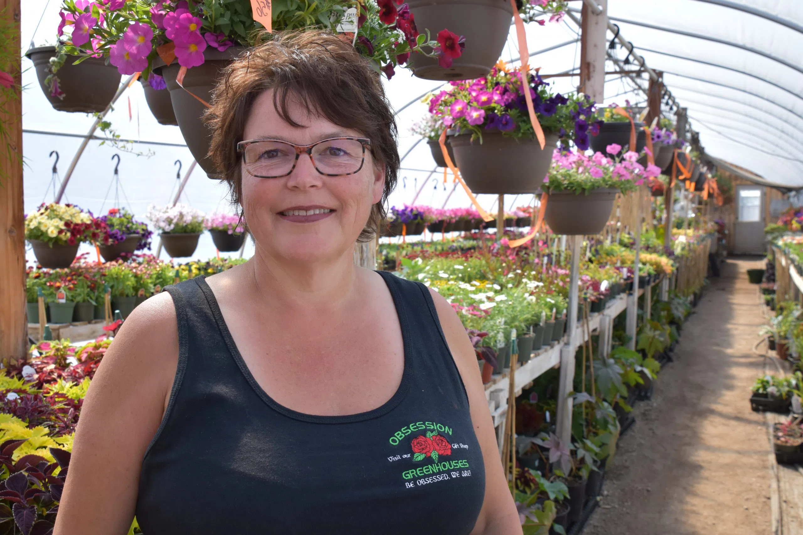 Greenhouse a growing obsession in St. Louis paNOW