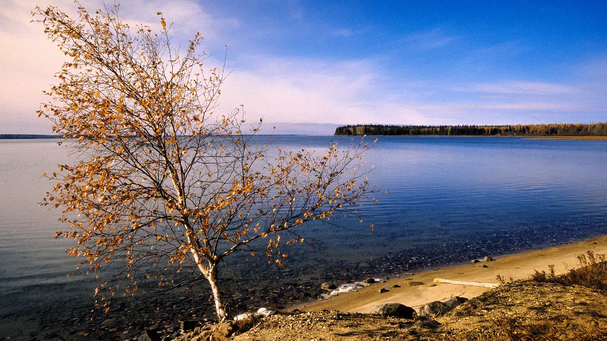 Resort Village of Candle Lake votes for new mayor, councillors paNOW