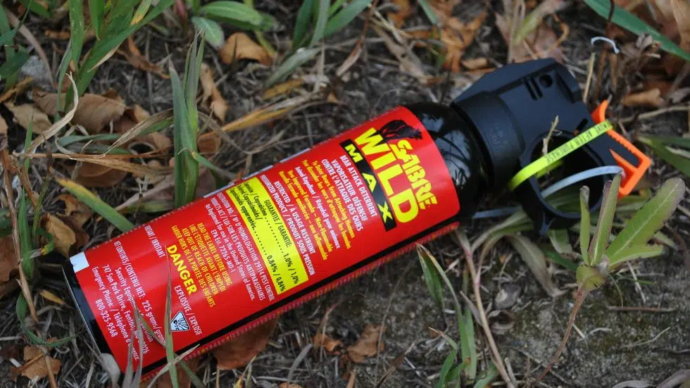 UPDATED Emergency personnel respond to bear spray incident paNOW