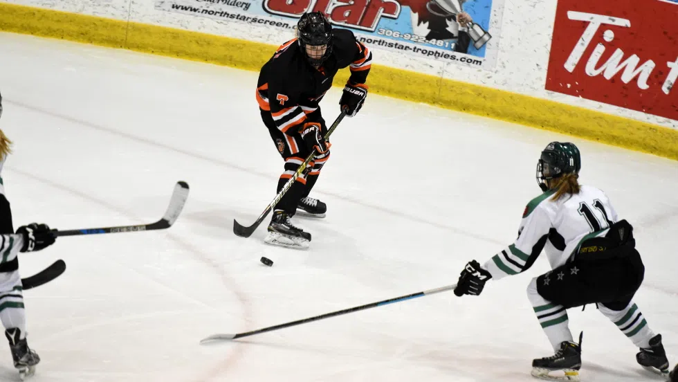 Bears now with .500 record after being swept by Stars paNOW