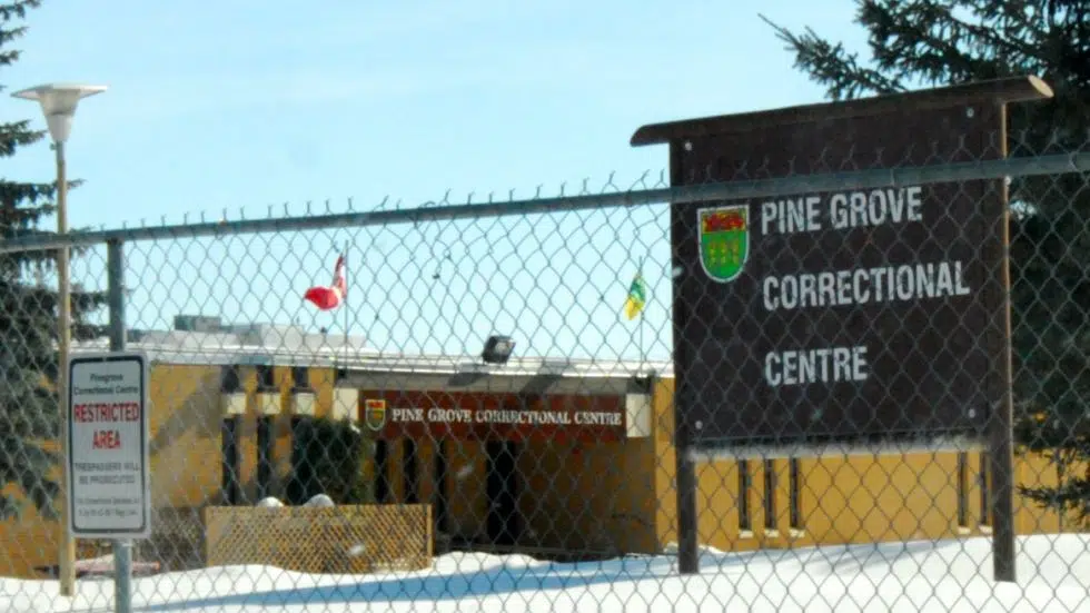 Pine Grove prison at ‘dangerous’ capacity levels Advocate paNOW