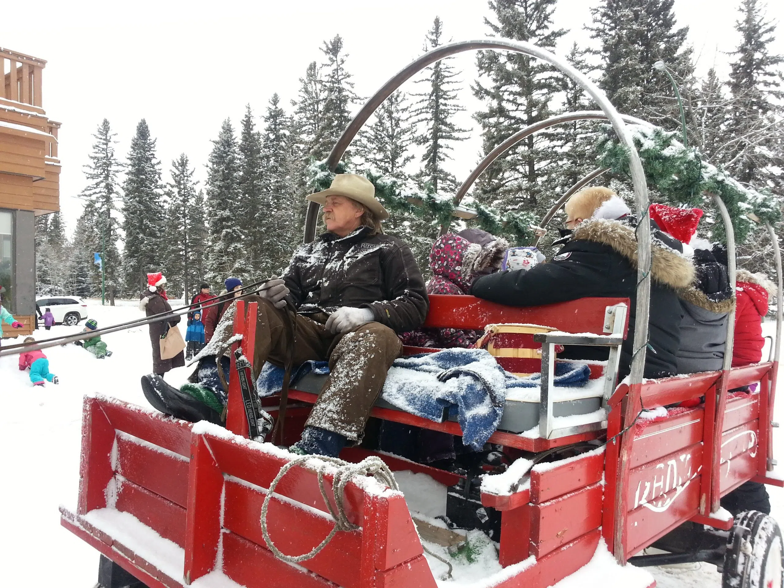 Need a Christmas tree? Christmas Fun at PA National Park paNOW