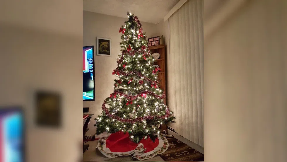 POLL Do you have an artificial Christmas tree or real tree? paNOW