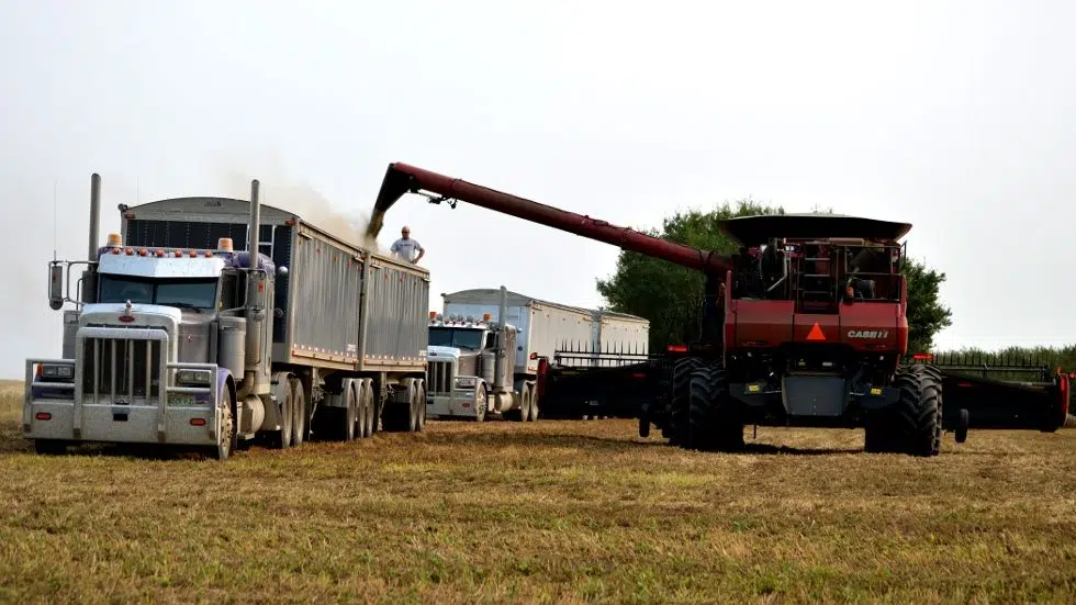 Herb Bassett Home benefits from farming fundraiser paNOW