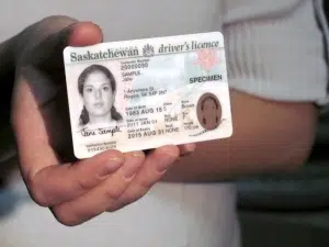 regina ice driver license porn