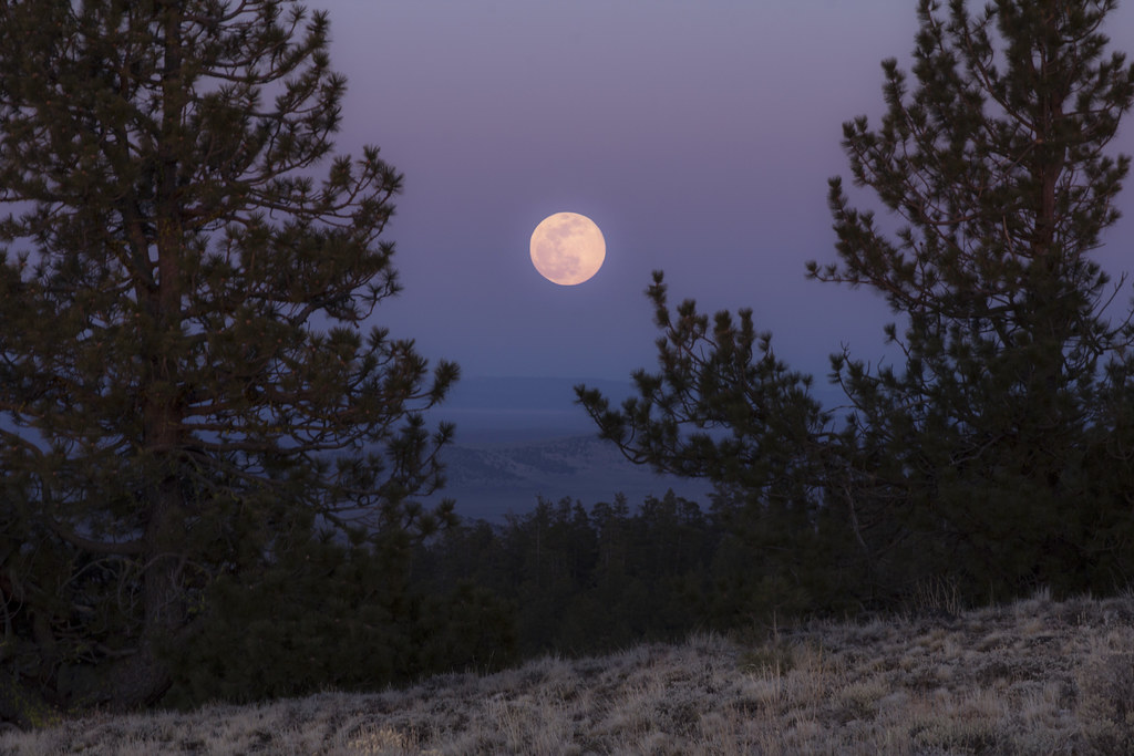 Super pink moon coming this month - Vimarsana News