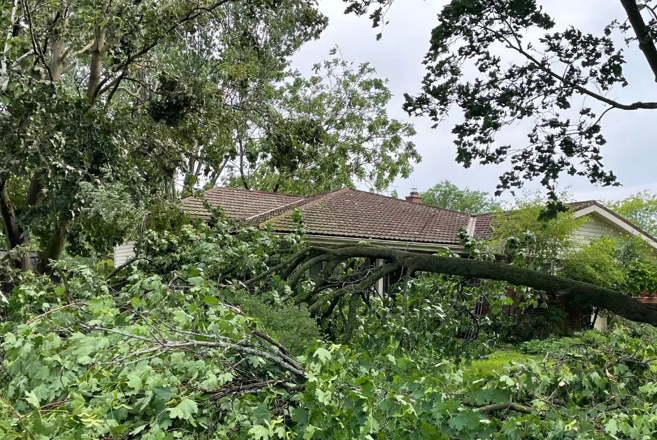 City of Belleville issues update about storm cleanup 91X FM CJLX