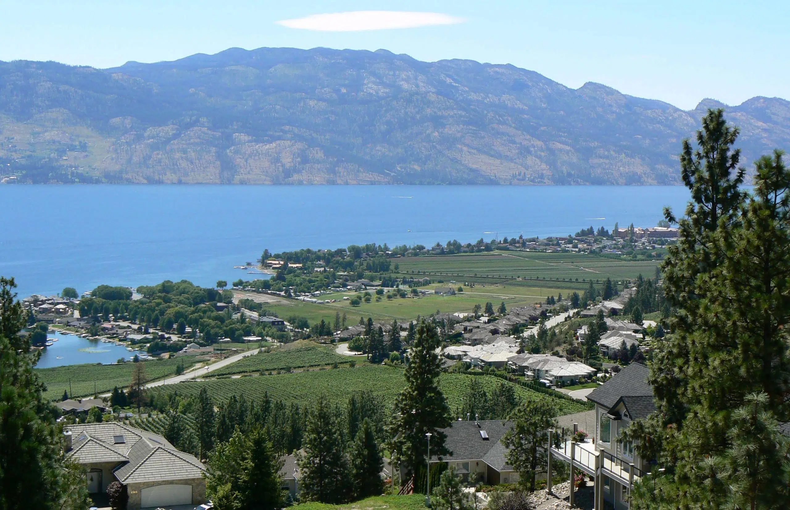 West Kelowna councillor continuing fight against province’s speculation