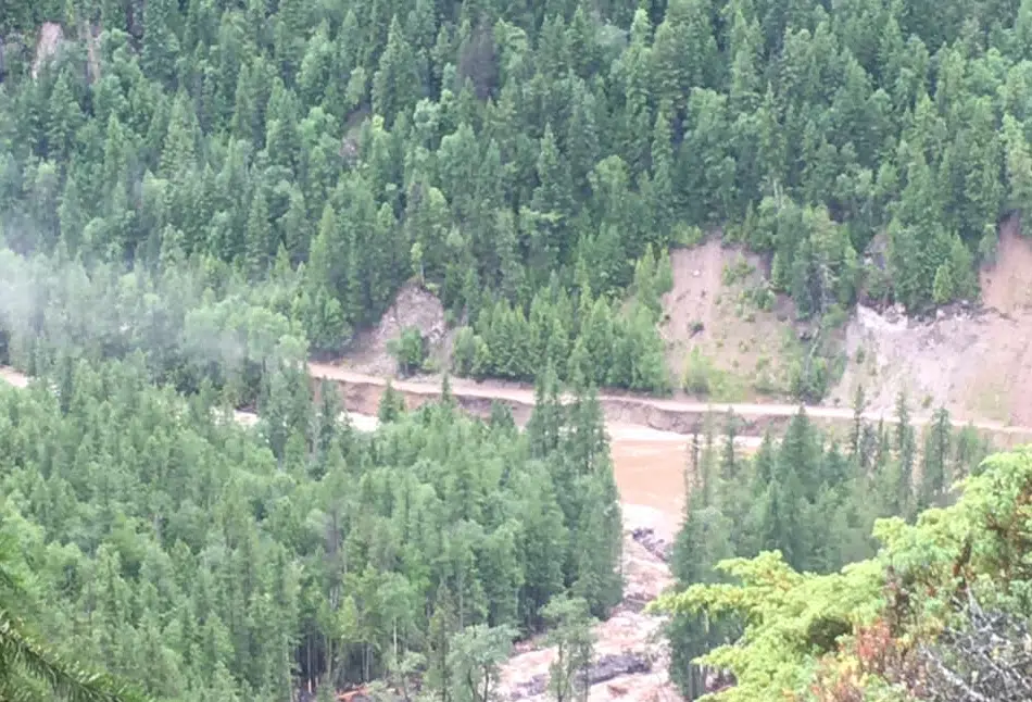 Local logging companies offer to repair Clearwater River Rd washout for