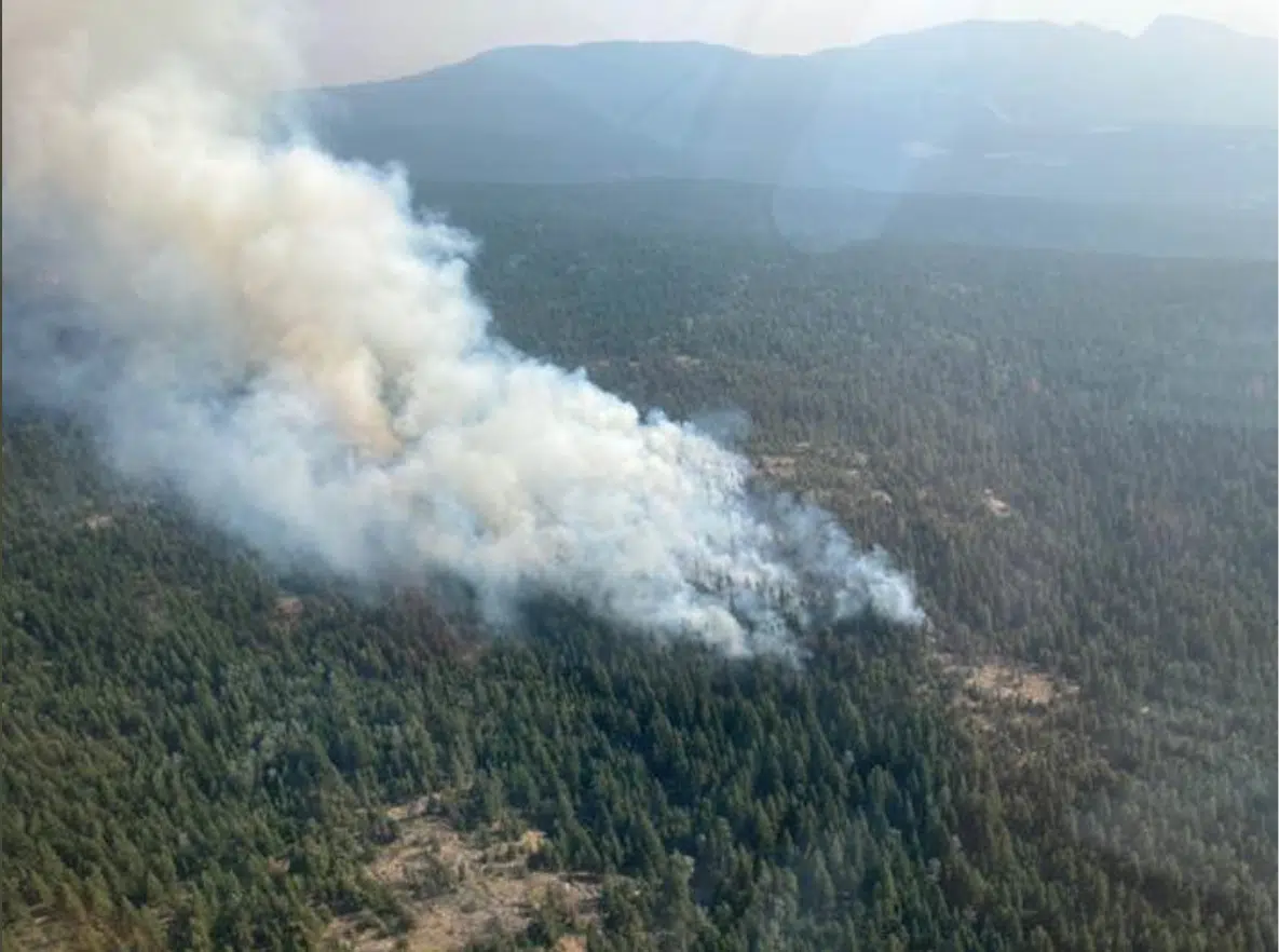 Fifty properties on evacuation alert near Ashcroft because of wildfire