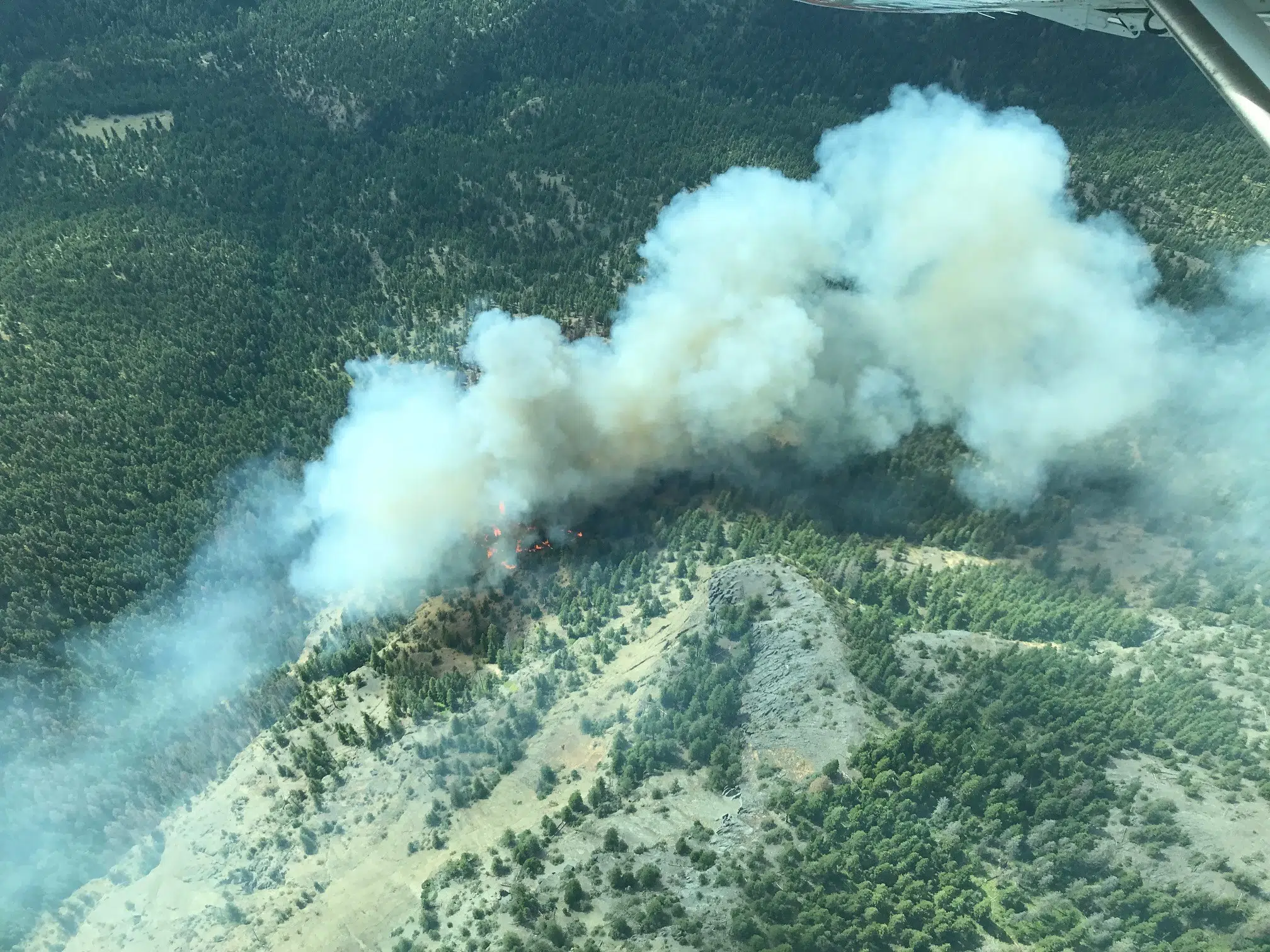 UPDATE Watching Creek fire near Kamloops classified as Fire of Note
