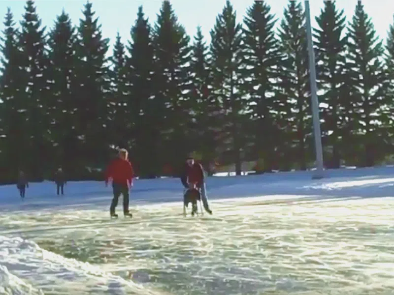 Public Skating Season at Clarence Downey SpeedSkating Oval Set to