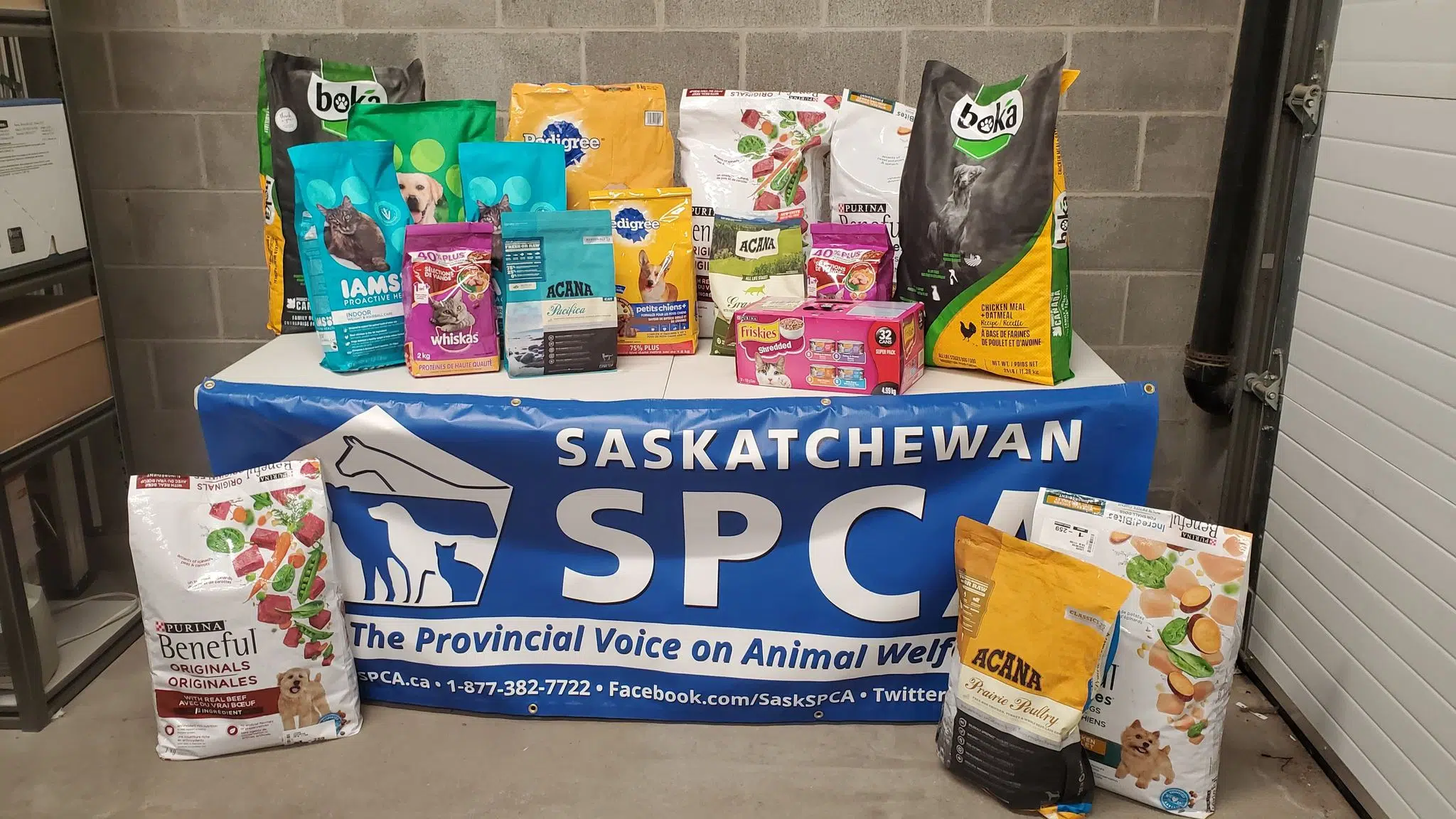 Saskatchewan Now has an Emergency Pet Food Bank 92.9 The Bull
