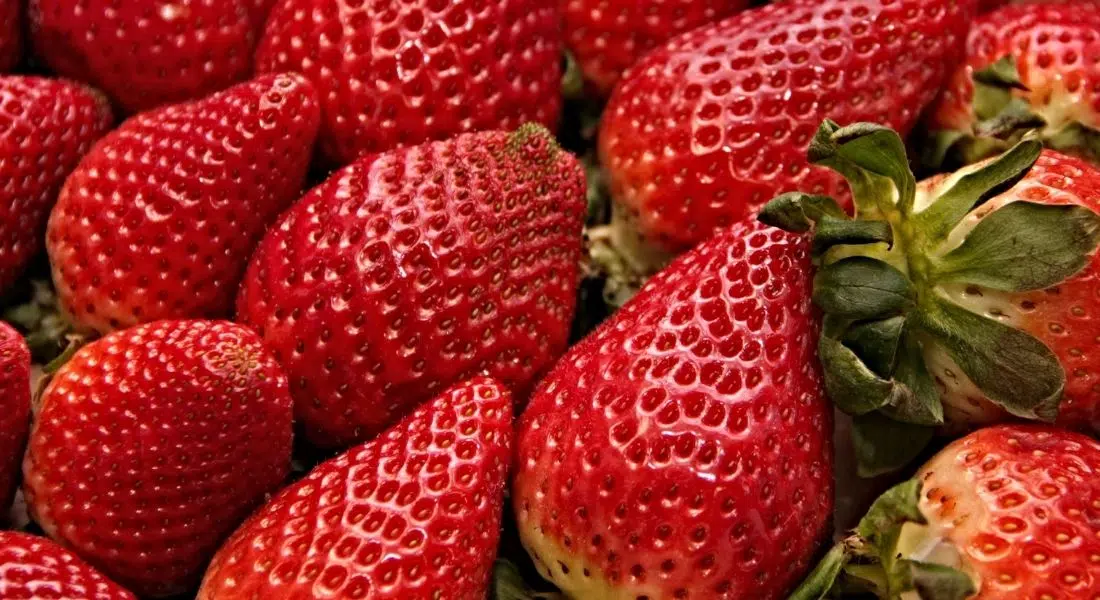 Hepatitis A outbreak on the prairies may be linked to strawberries
