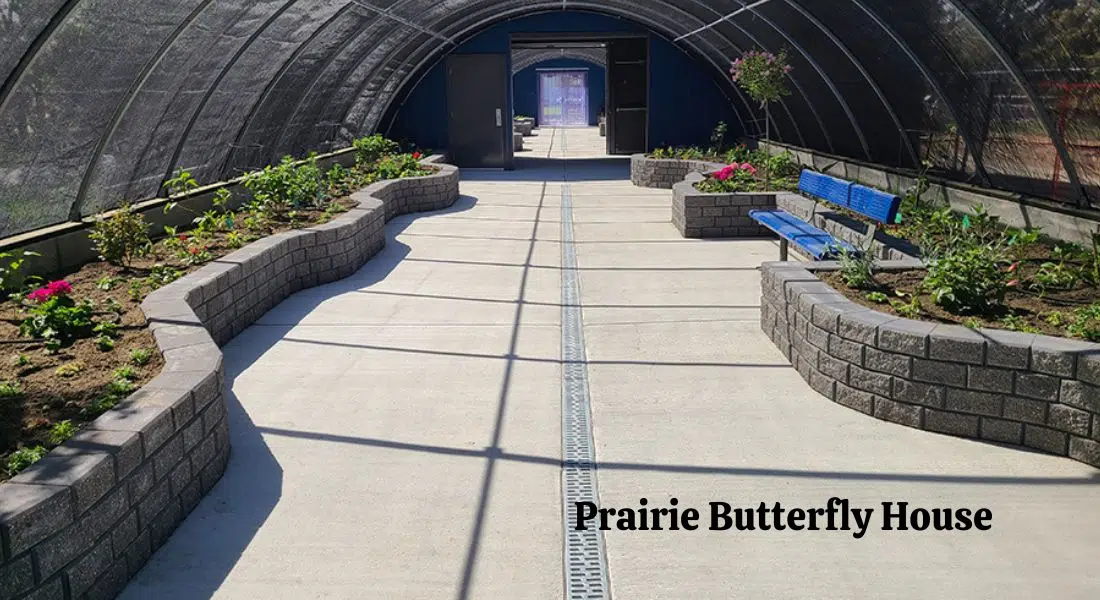 Prairie Butterfly House opens at Forestry Farm Park & Zoo | 92.9 The Bull