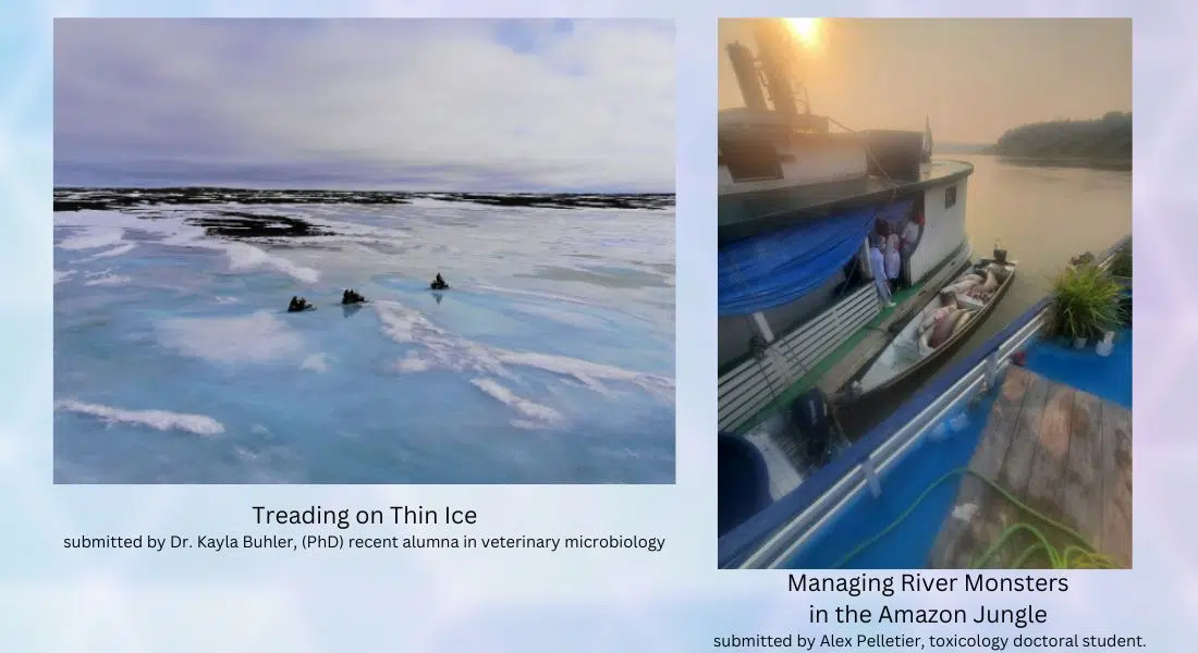 Bringing art to research at USask 98COOL