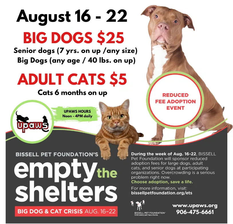 Bisley Humane Dispatcher