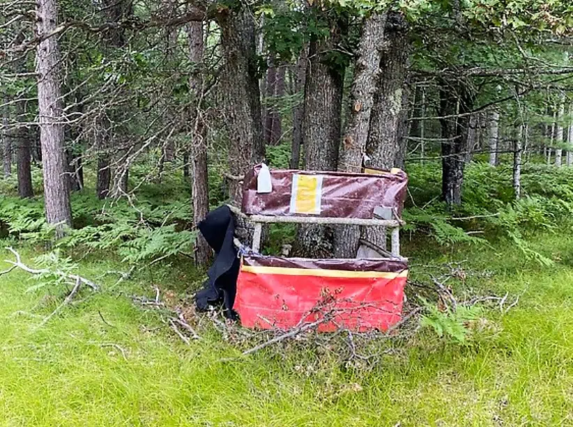 Hiawatha National Forest Wants Illegal Hunting Blinds Removed ASAP