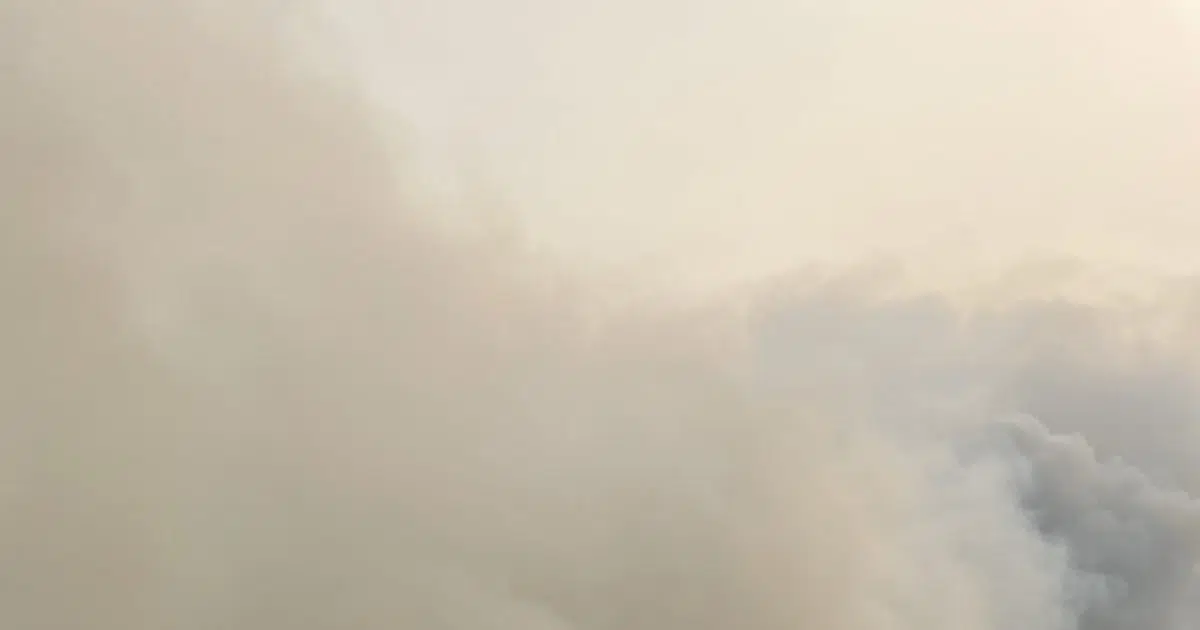 BREAKING Large Wildfire Forces Evacuations In Grayling; I75 Exits