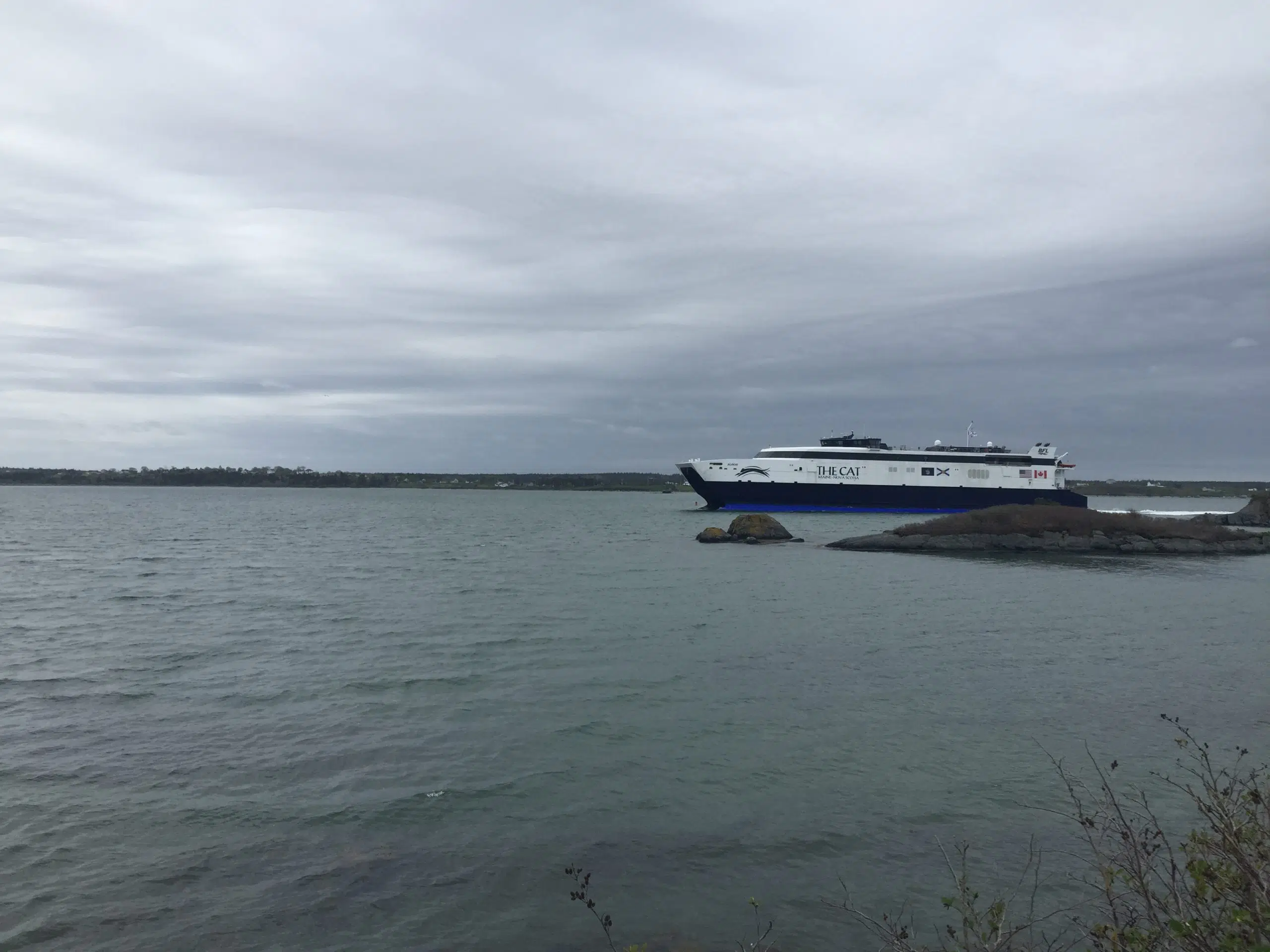 Cat Ferry Numbers “Positive”Bay Ferries CEO Y95.5