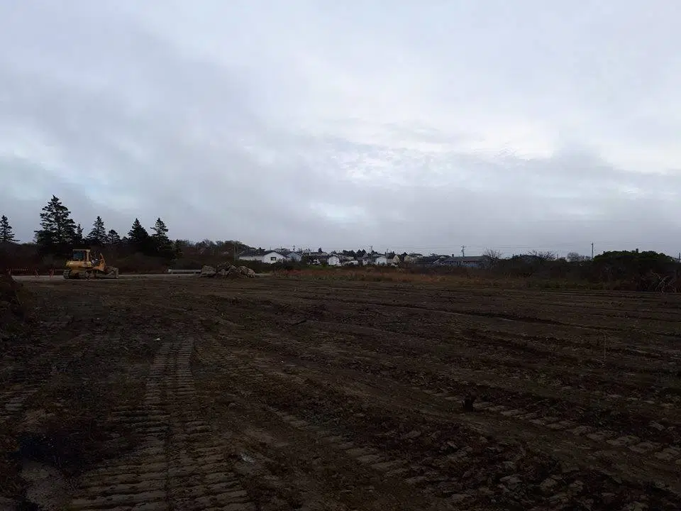 Work On Yarmouth’s First Dog Park Continues. Yarmouth Dog Park