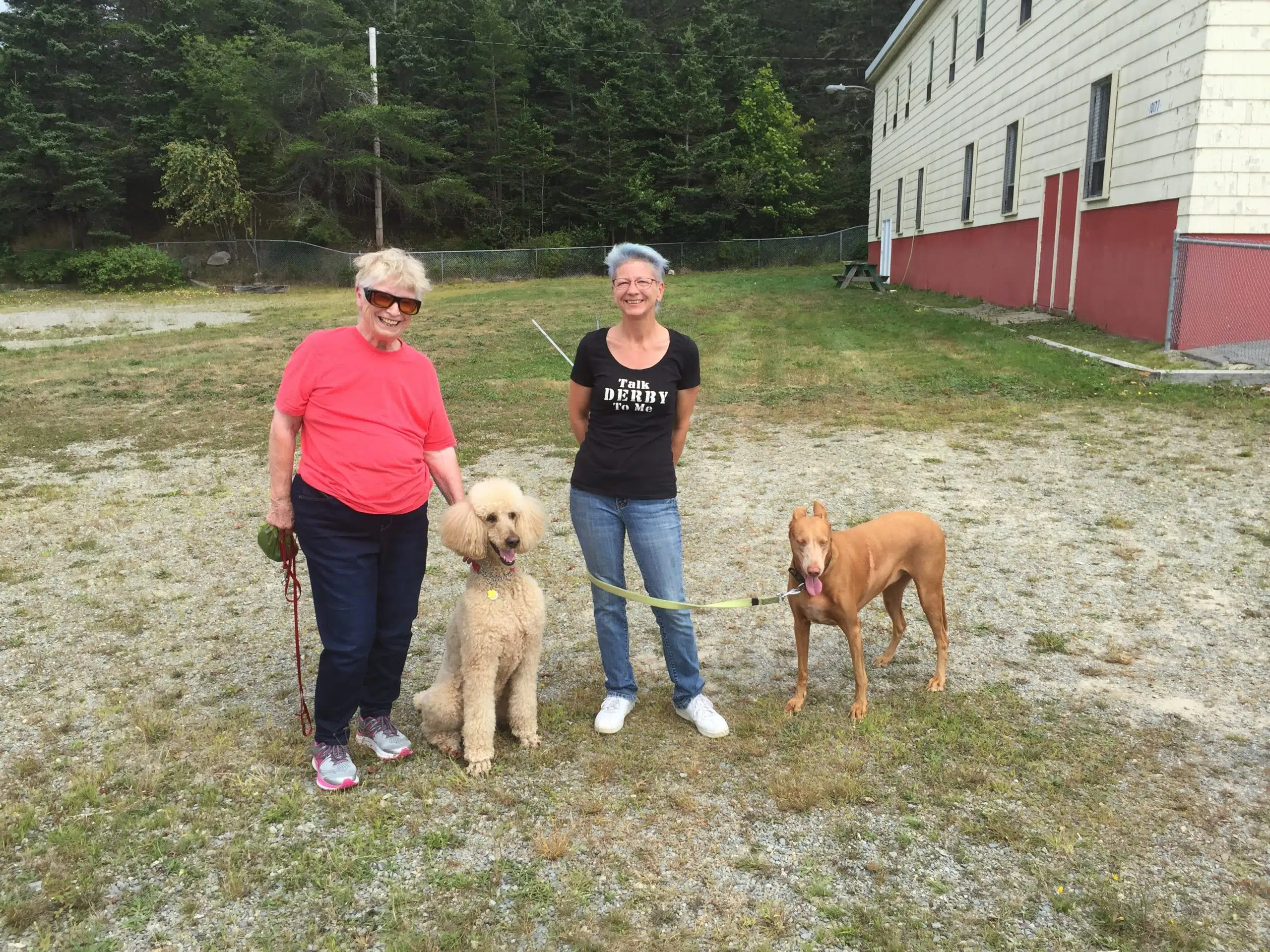 Yarmouth Dog Park Committee Has Temporary Space Thanks To Th’YARC Y95.5