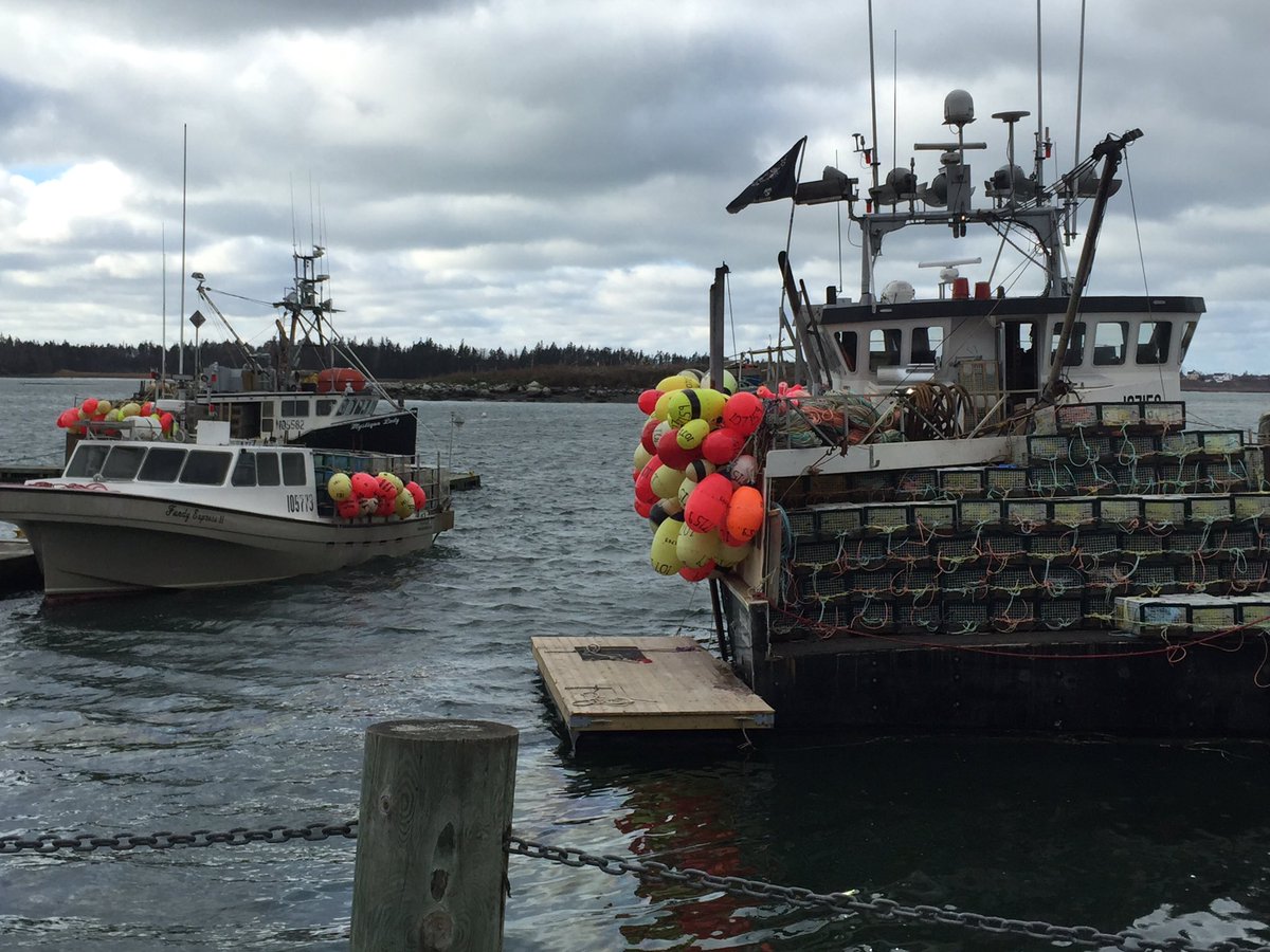 Lobster Fishing is about to start soon . Do you know someone who does it , have you tried it , would you ? - Vimarsana News
