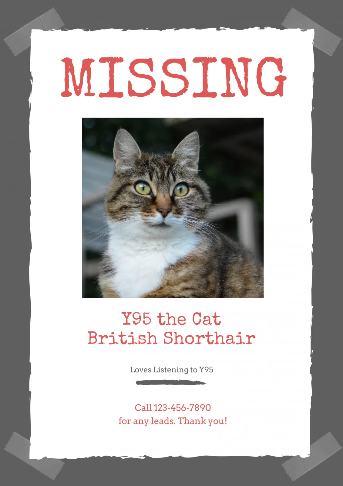 HAS YOUR PET EVER BEEN LOST? DID YOU FIND THEM? Y95 5