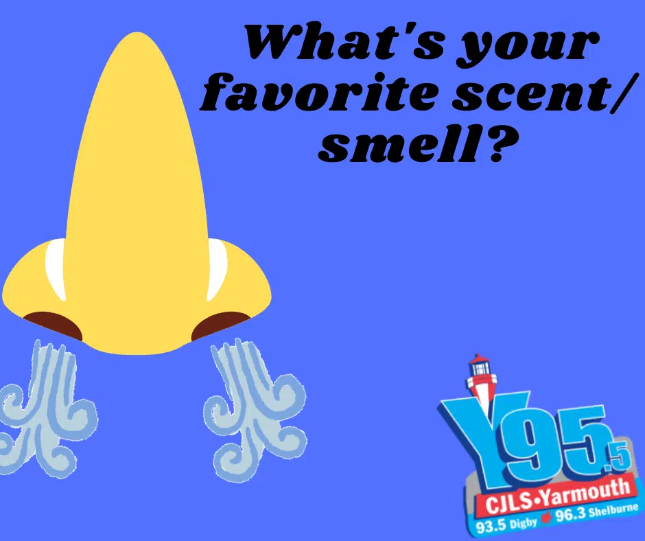 Sniff, Sniff! What is your favourite smell? Y95.5