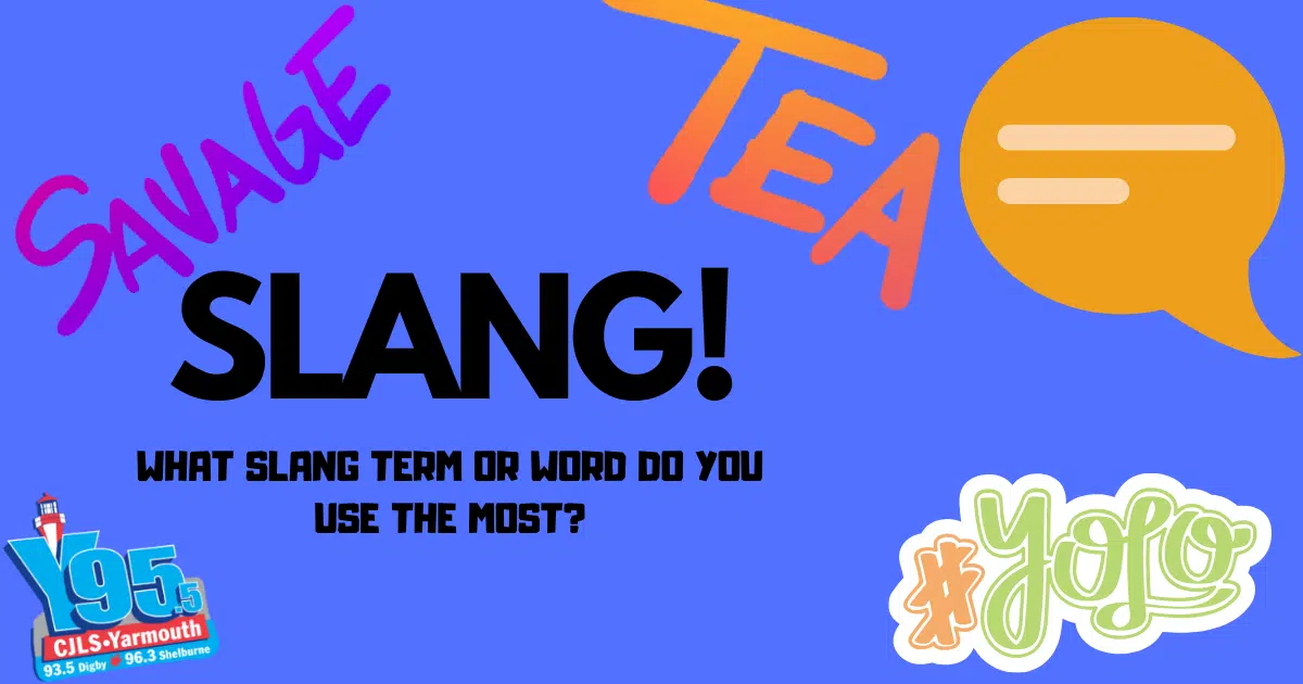 Slang! What Slang Term Do You Use The Most?