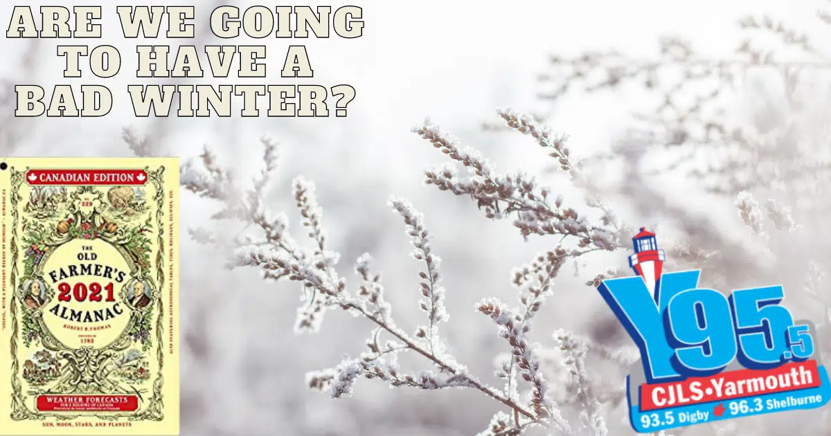Do You Think We’ll Have A Bad Winter? The Farmers Almanac Says Not