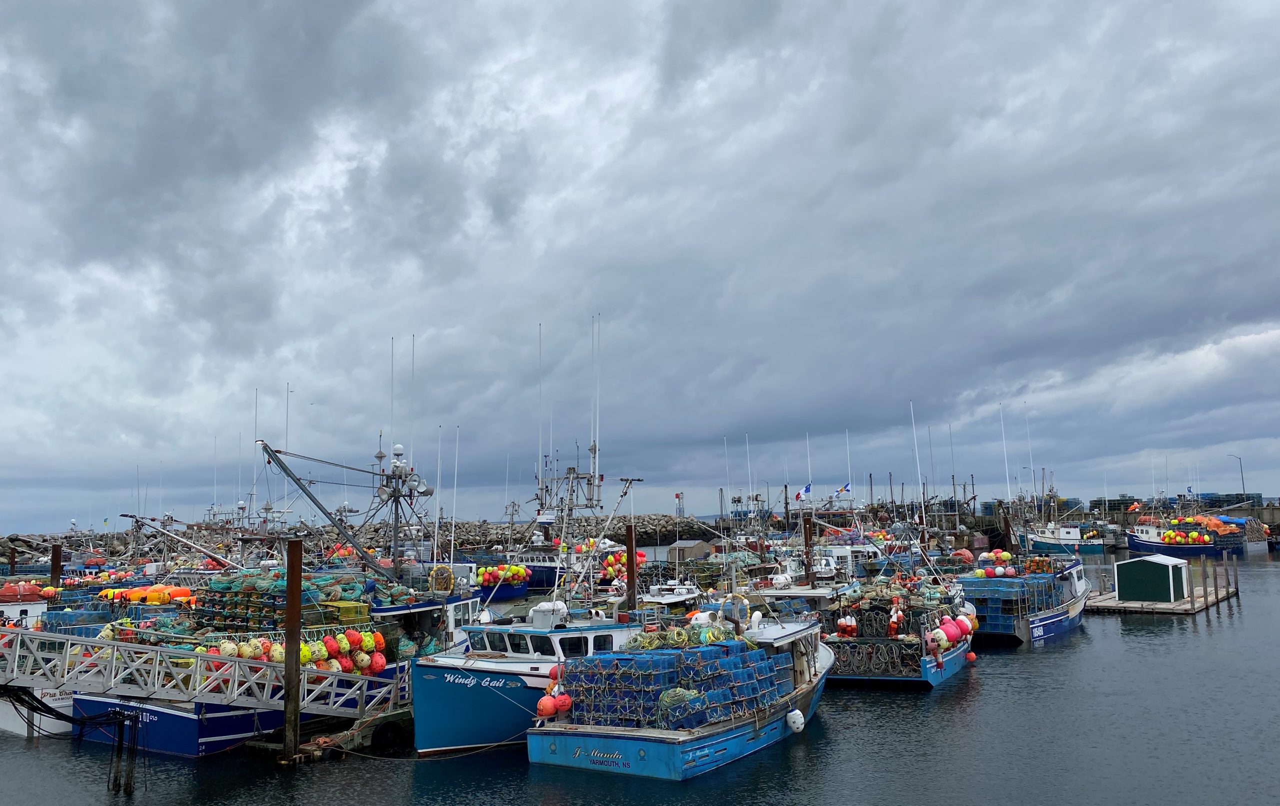 Fish Safe NS Talks Safety Ahead Of Dumping Day - Vimarsana News