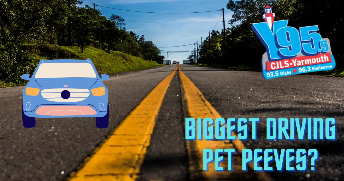 LET’S TALK ABOUT DRIVING PET PEEVES! Y95.5