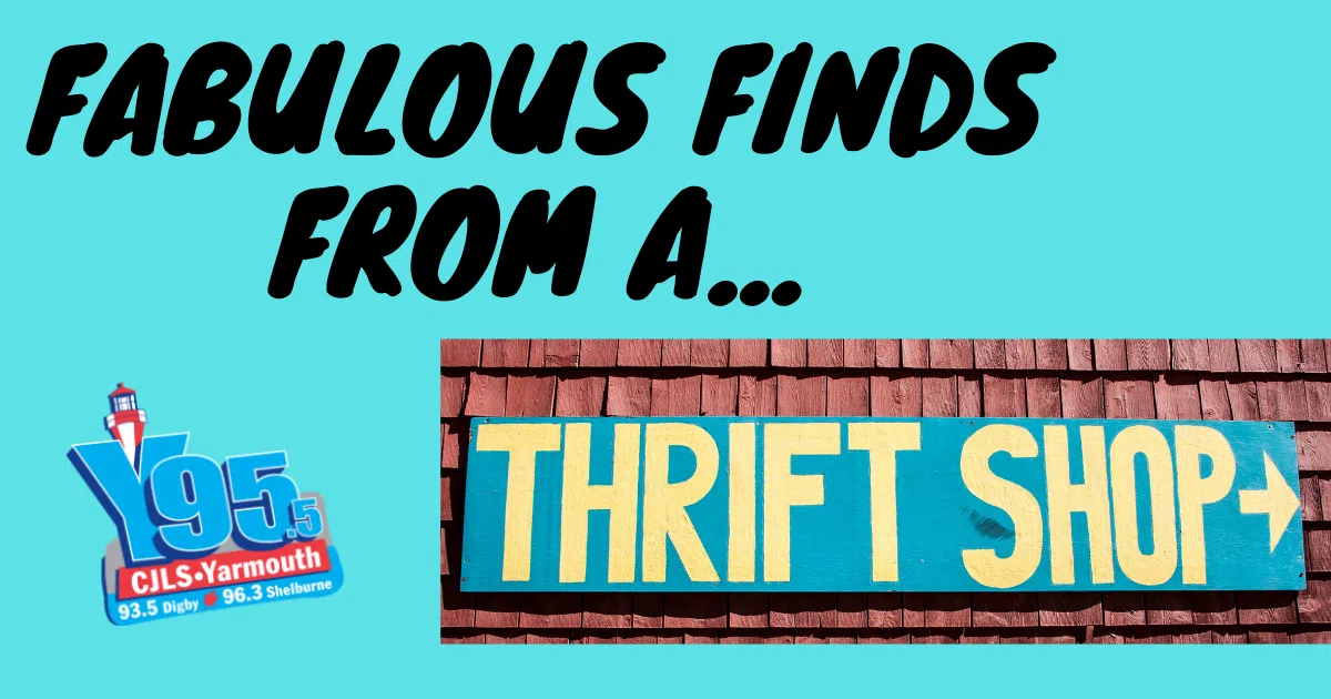 Fabulous Finds At Thrift Shops! Y95.5
