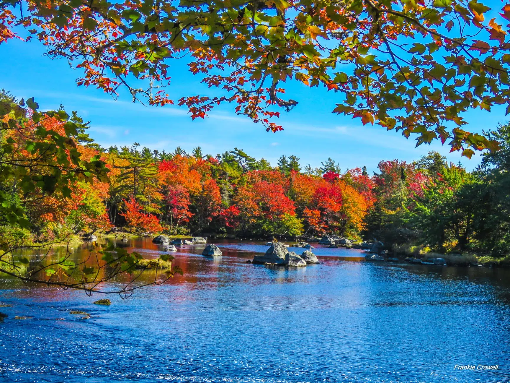 Welcome To Fall In The Tri Counties . Check My Blog For Some Fall Photo 