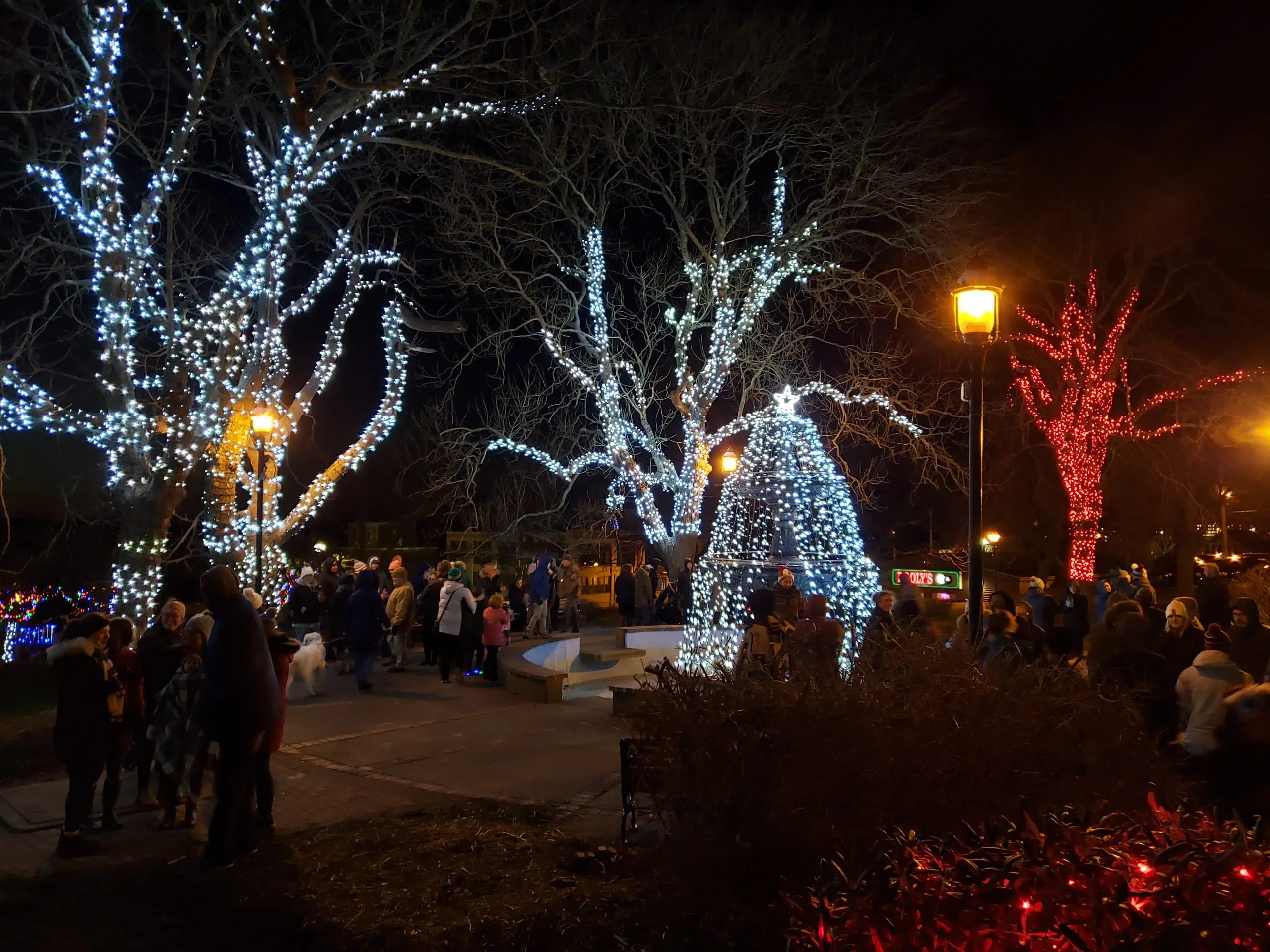 The Lighting of Frost Park and the Yarmouth Christmas Tree Is Coming Up