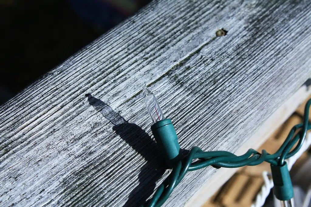 when do you put your Christmas lights up ? Y95.5