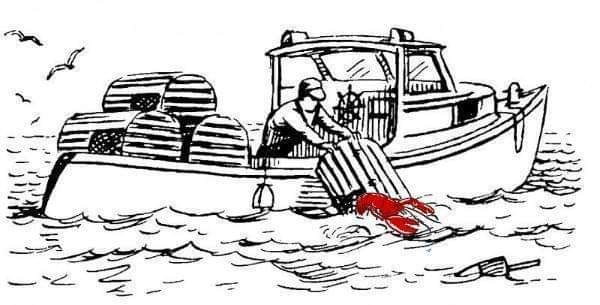 Lobster Fishing . Do you know someone who does it , have you tried it , would you ? - Vimarsana News