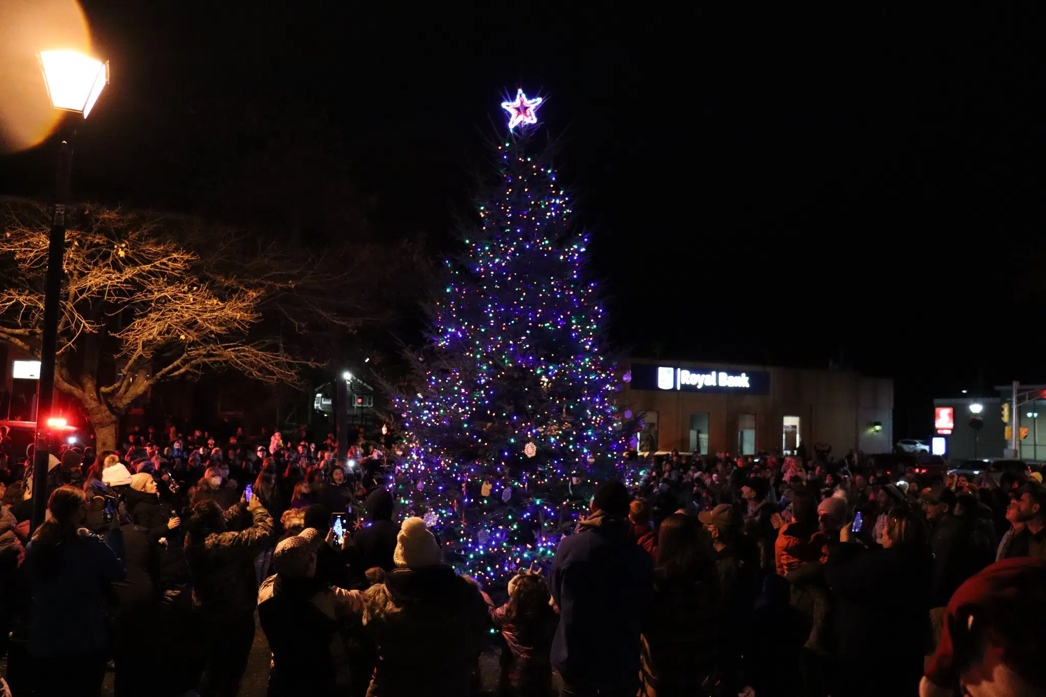 Town Of Yarmouth Tree, Frost Park, Lit For The Holidays Y95.5