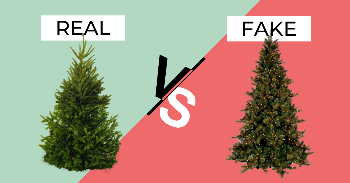 What kind of Christmas Tree in your home ? - Vimarsana News