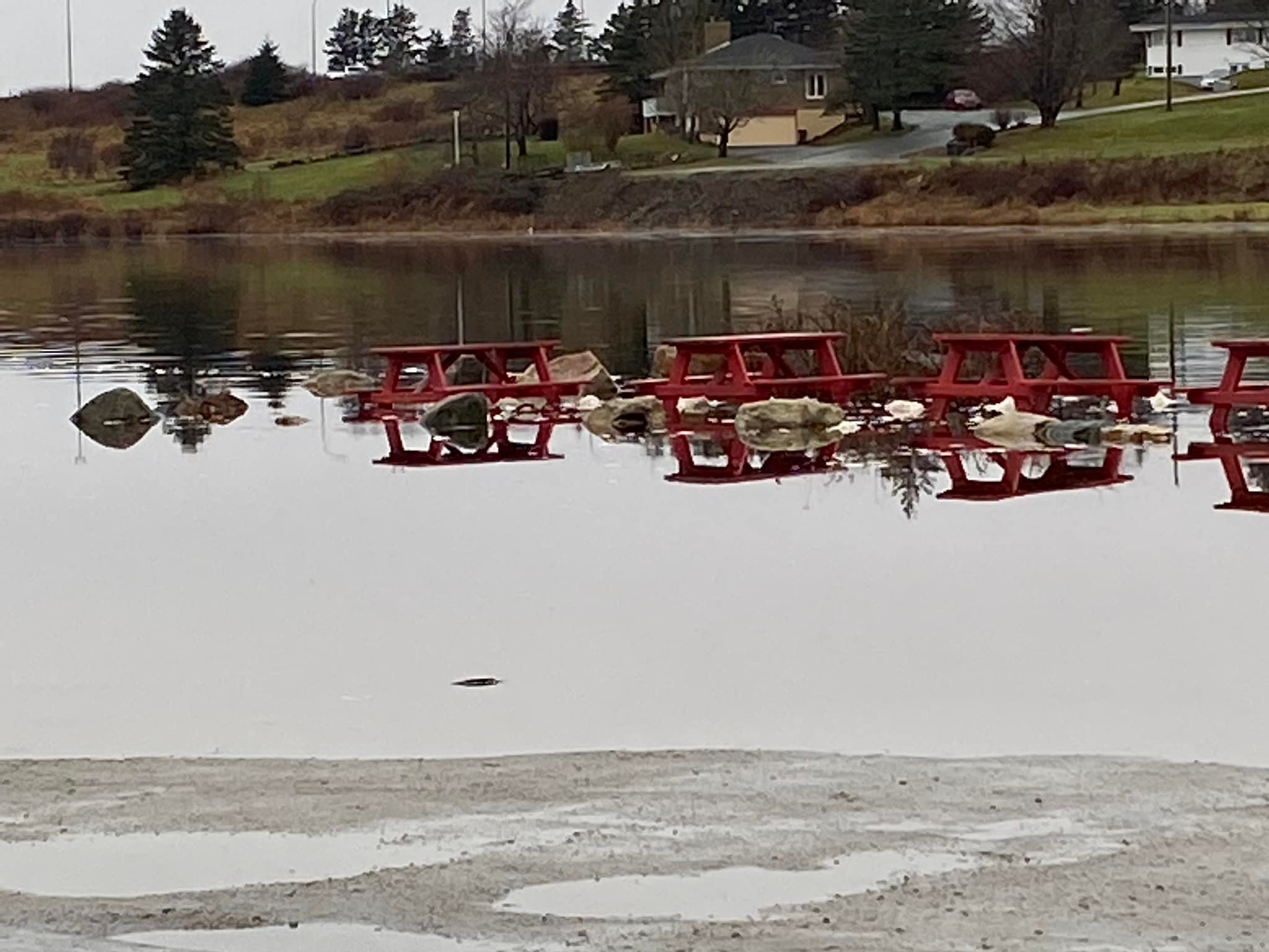 High Tides and coastal flooding , is this something we should get used to ? - Vimarsana News