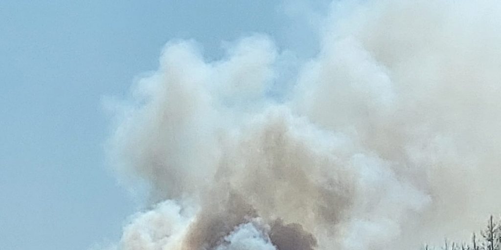 Firefighters Extinguish Forest Fire In Argyle - Vimarsana News