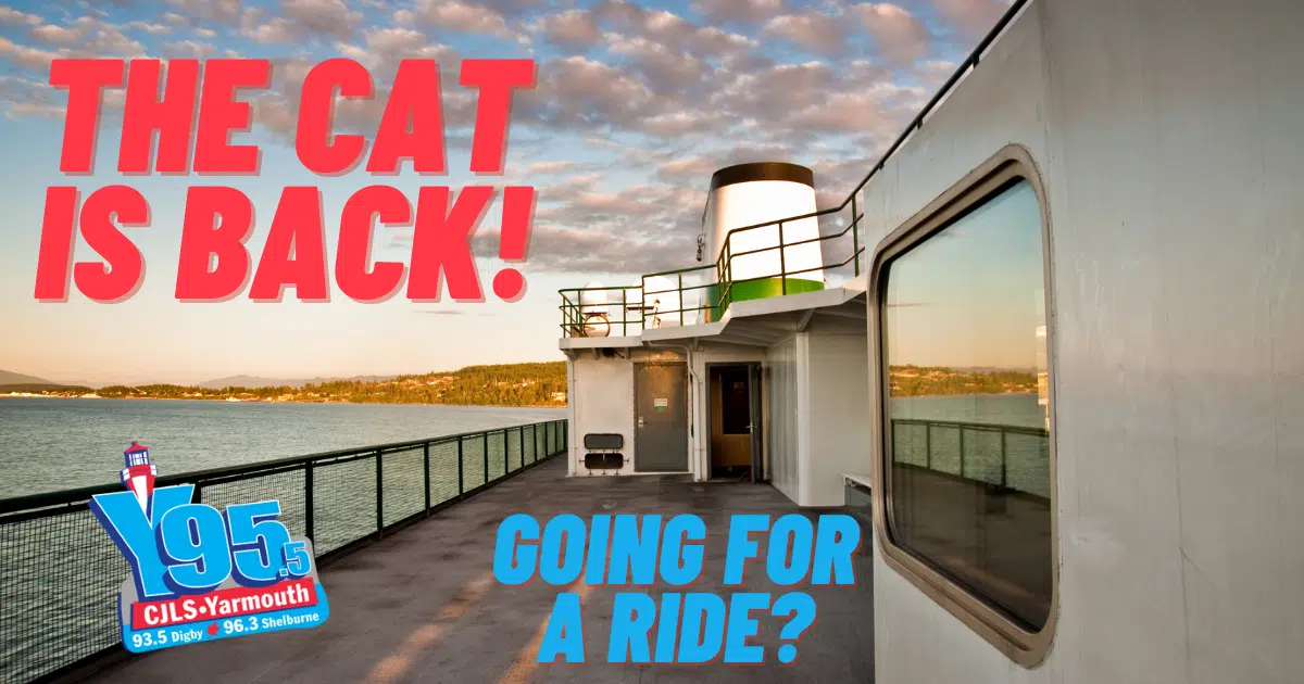 The Cat Is Back! Going To Take A Ride? Y95.5