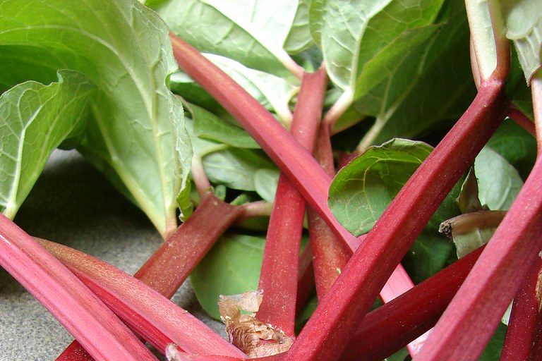 Rhubarb ! Those who like it, like it a lot . Check my blog for some facts . - Vimarsana News