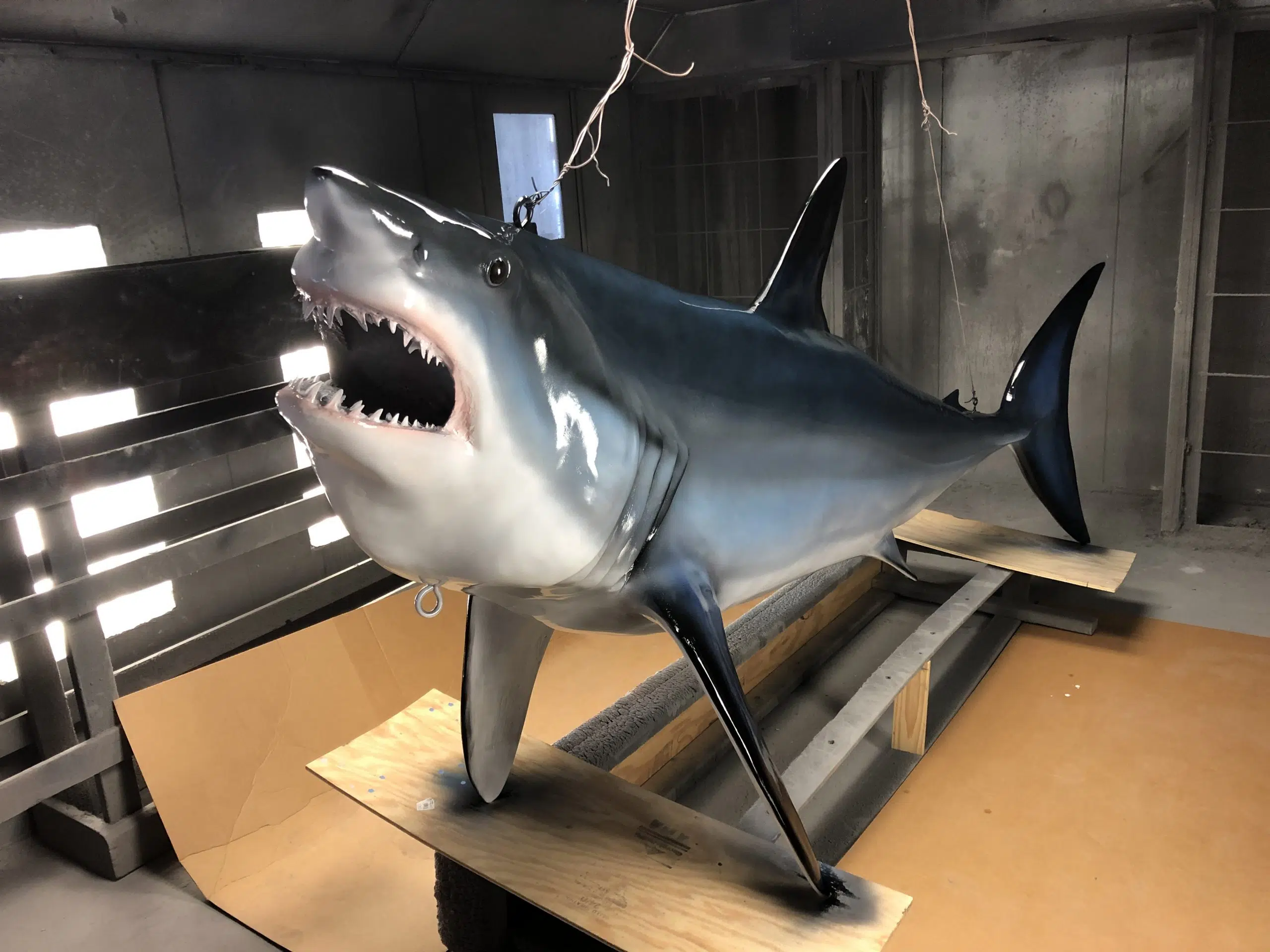 Life-Size Replica Of Record Mako Shark To Be Unveiled In Yarmouth | Y95.5