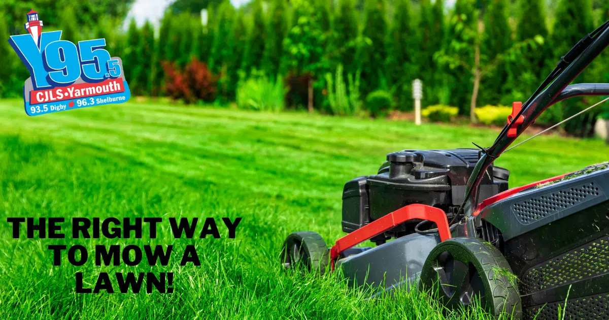 It’s Mow Season! How Long Does It Take To Mow Your Lawn? Check Out