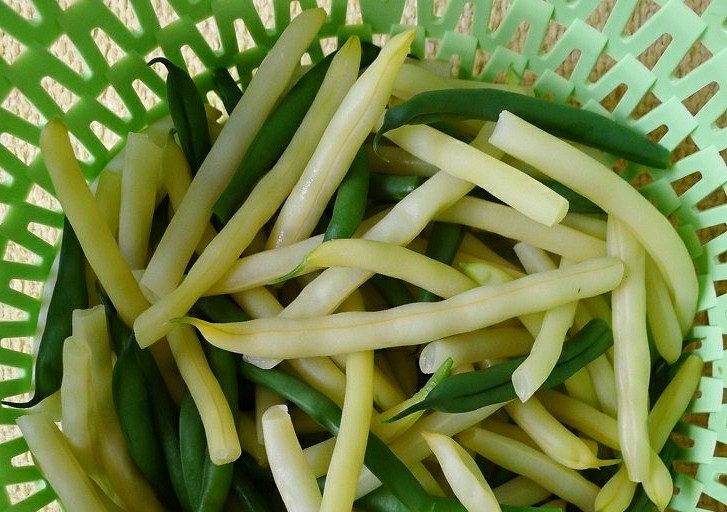 Green Beans or Yellow Beans – what do you prefer and why ? - Vimarsana News