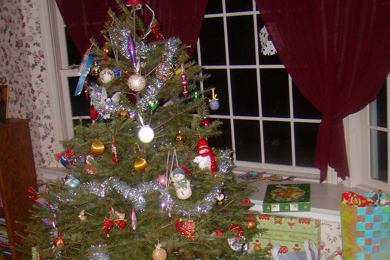 is it time to put the Christmas tree Up Yet ? - Vimarsana News