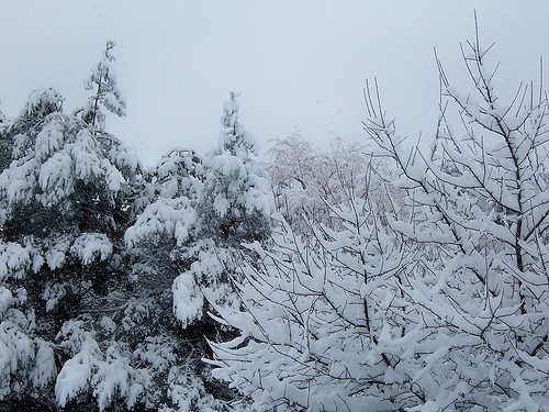 Special Weather Statement Issued For Moncton - Vimarsana News