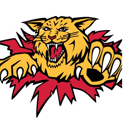 Wildcats Season A Surprising Success - Vimarsana News